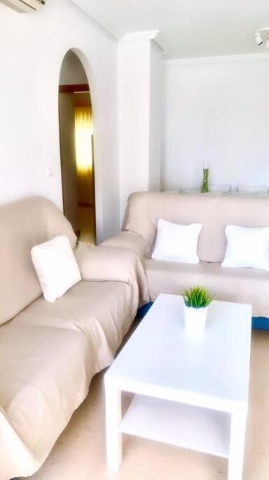 Apartamento - Playa El Campello Urbanizacion Jardin Del Mar Exteriör bild