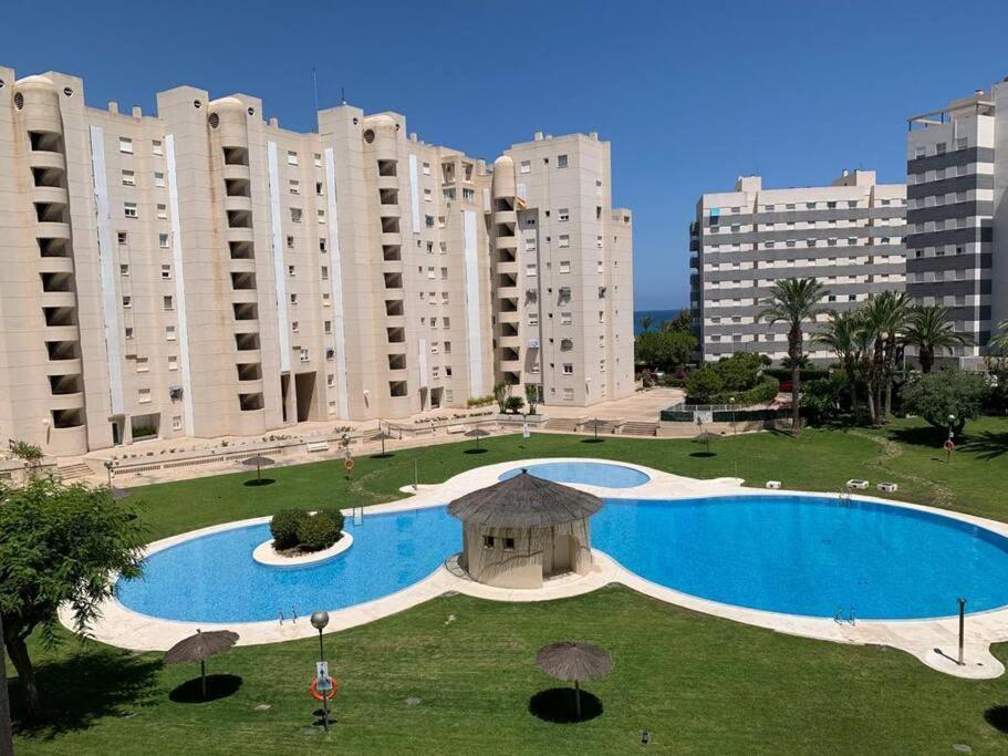 Apartamento - Playa El Campello Urbanizacion Jardin Del Mar Exteriör bild